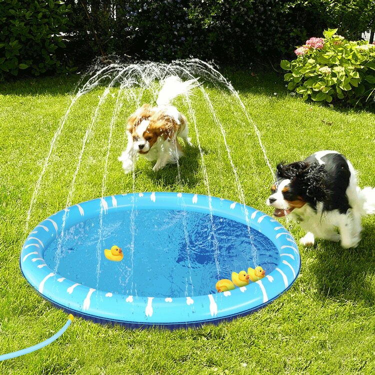 Waterspeelgoed voor honden