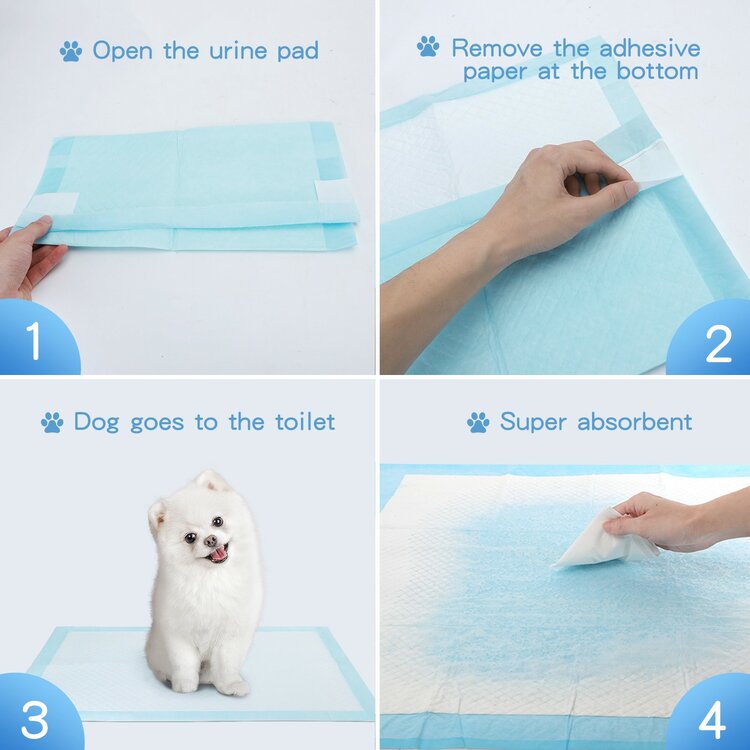 plasmatje hond