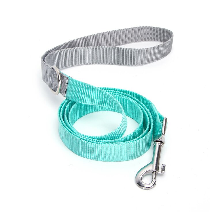 Hondenriem Nylon grijs mint