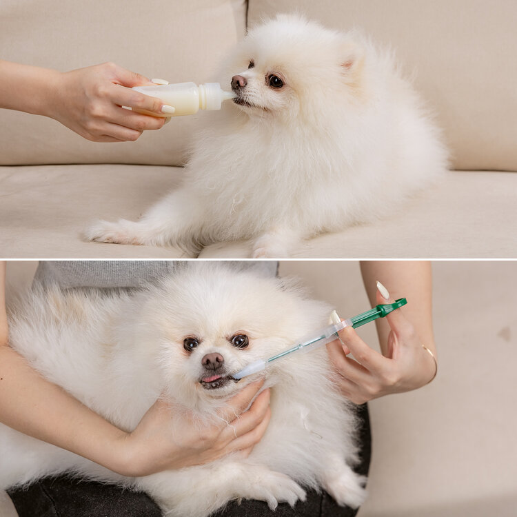 Nobleza Voedingsflesje en pipet voor puppy en kitten