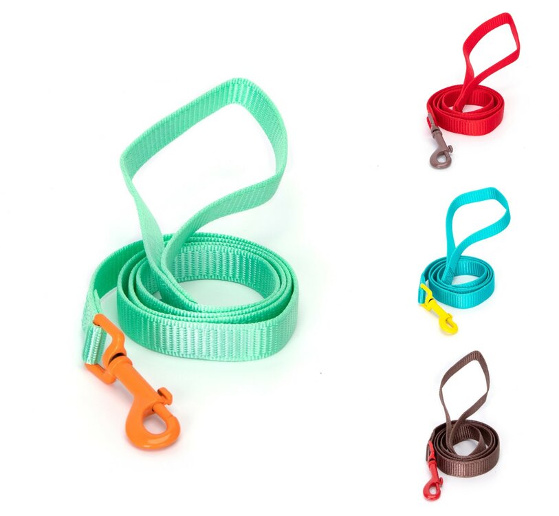 Nobleza Hondenriem - Nylon - Plat - Lengte 120 - Breedte 2 cm