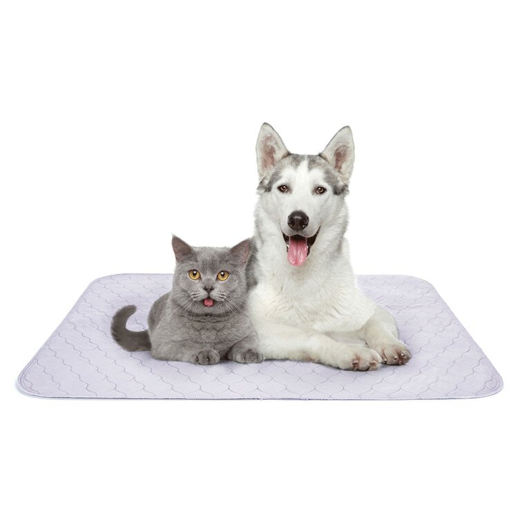 Training pad wasbaar hond