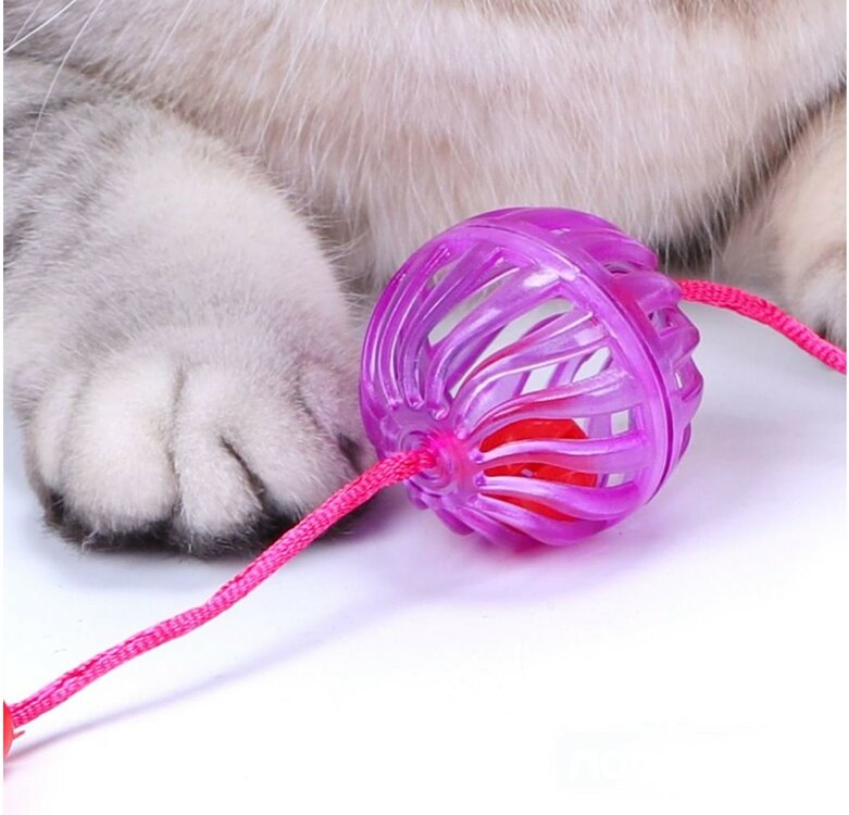 Speelballetjes met belletje voor katten