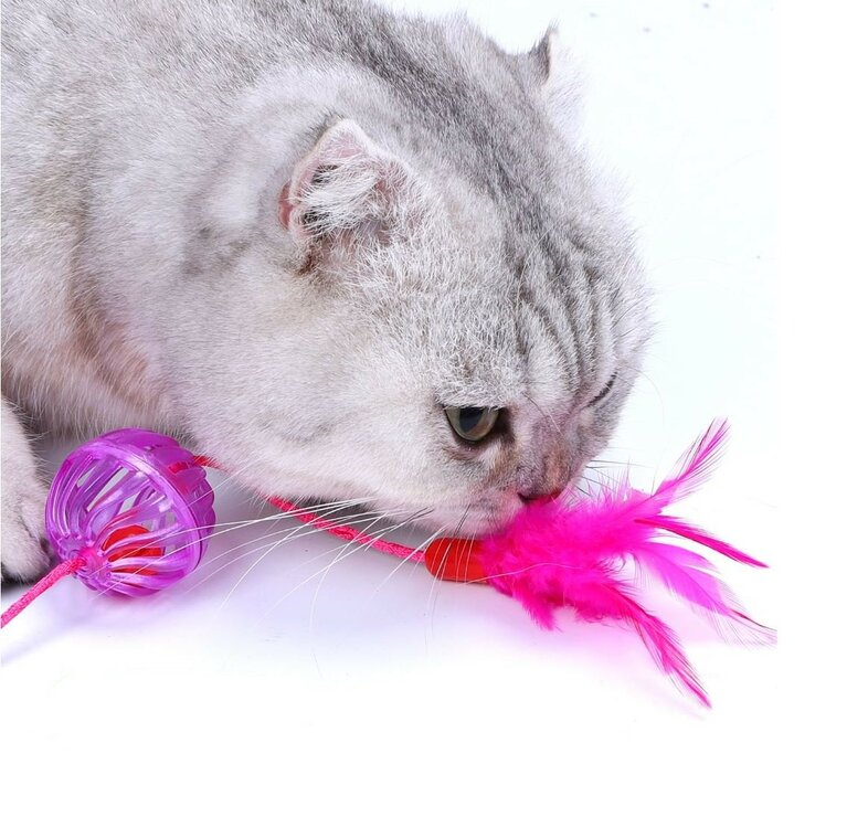 Kattenspeeltje Speelballetje