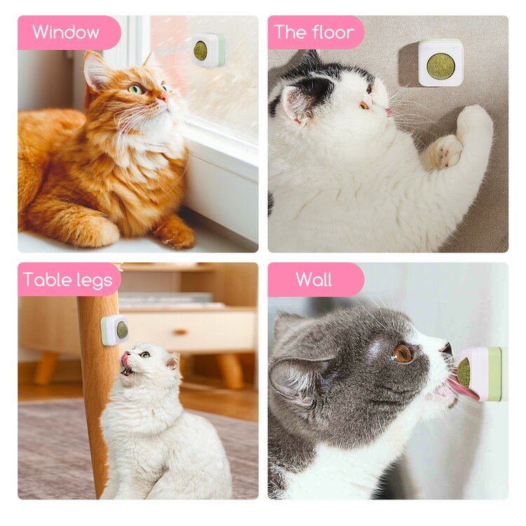 Likbal voor katten