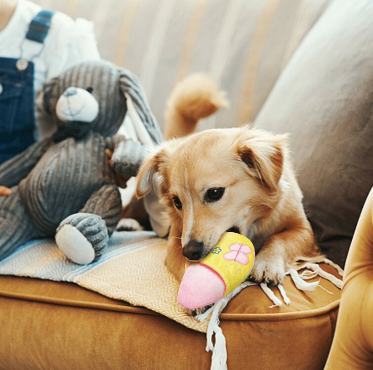 Nobleza Honden piepspeelgoed - Pluche pantoffel