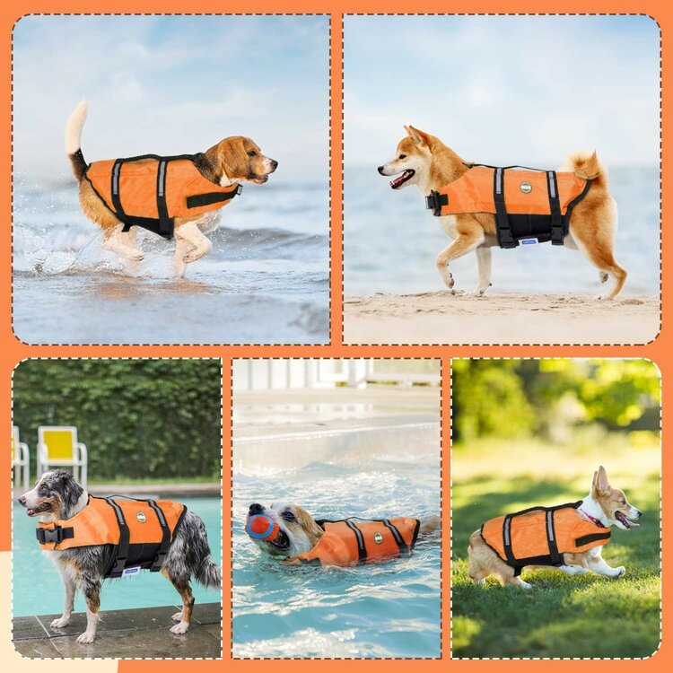 Zwemvest hond oranje