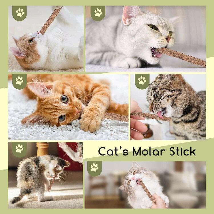Katten kauwstaafjes kattenkruid
