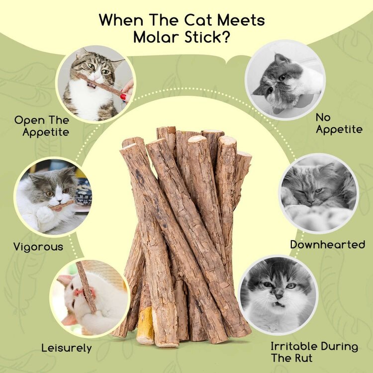 Nobleza Katten kauwsticks - Kattenkruid stokjes - 10 Stuks