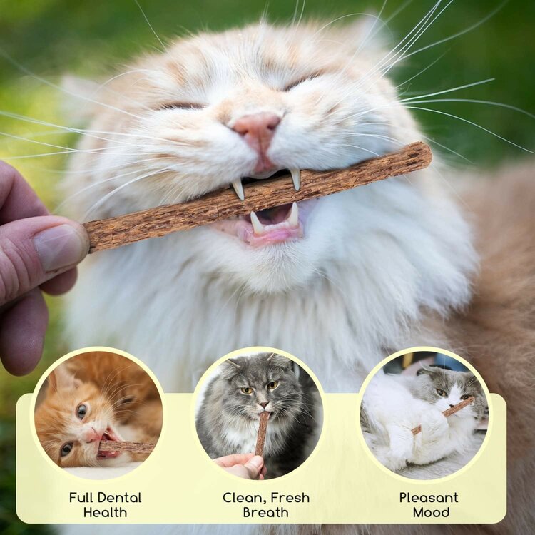 Kattenkruid kauwsticks