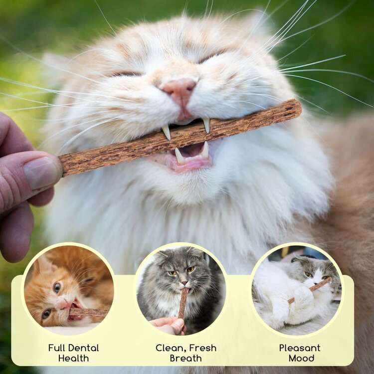 Nobleza Katten kauwsticks - Kattenkruid stokjes - 10 Stuks