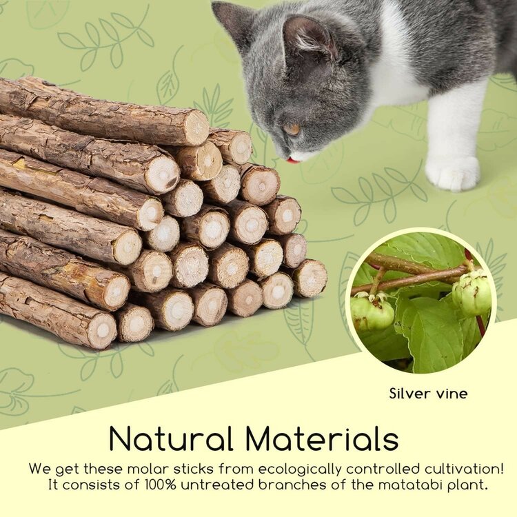 Nobleza Katten kauwsticks - Kattenkruid stokjes - 10 Stuks