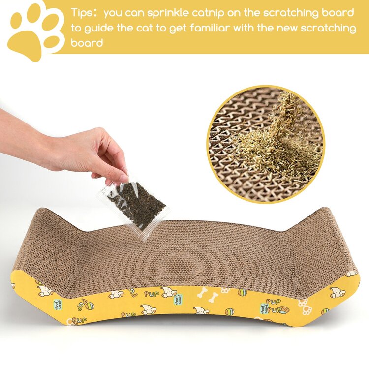 krab karton kat met kattenkruid