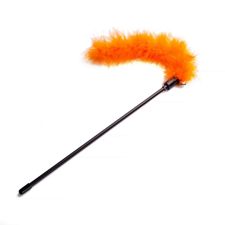 Speelstok voor katten, oranje