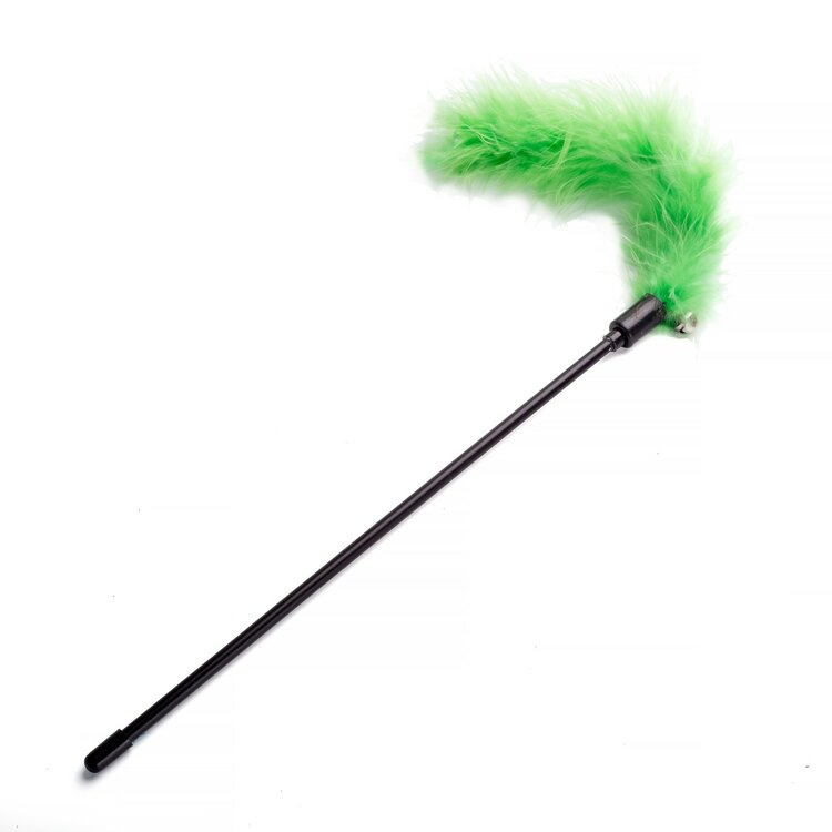 Kattenhengel groene veren