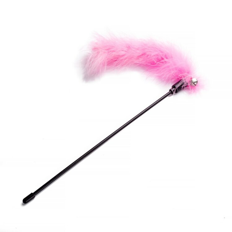 Kattenhengel met roze pluim