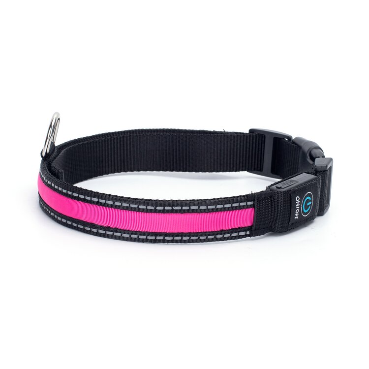 halsband voor hond roze verlichting