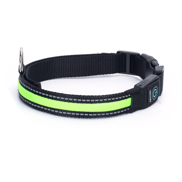 halsband hond met licht