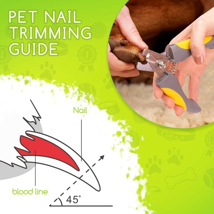 Hoe knip je nagels van honden