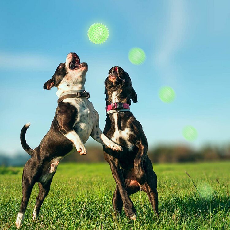 Stuiterbal met ledverlichting voor honden