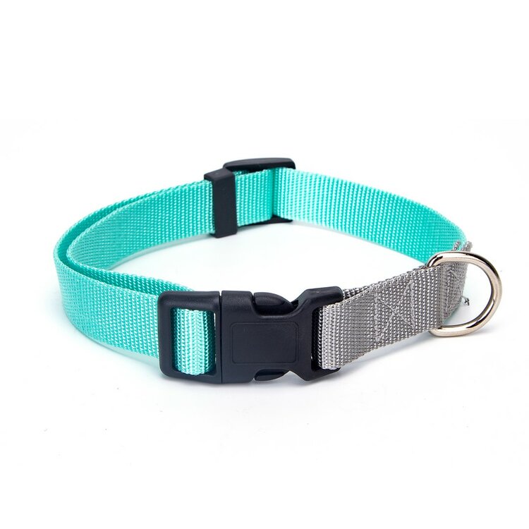 Halsband hond turquoise