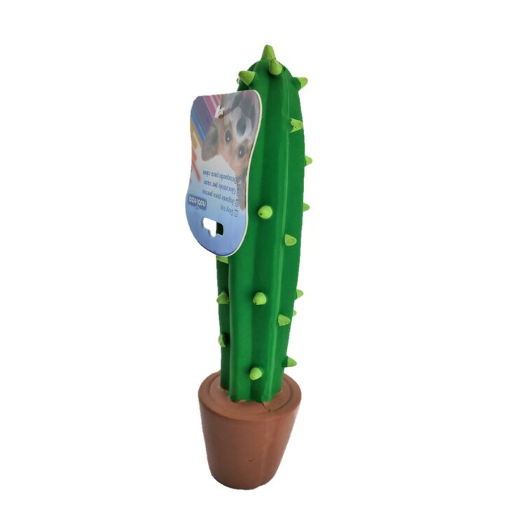 piepspeelgoed voor hond cactus