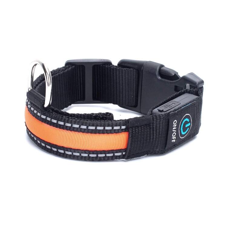 Halsband hond met licht