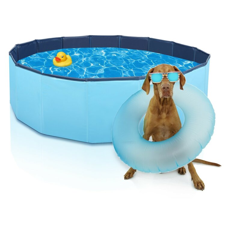 honden zwembad