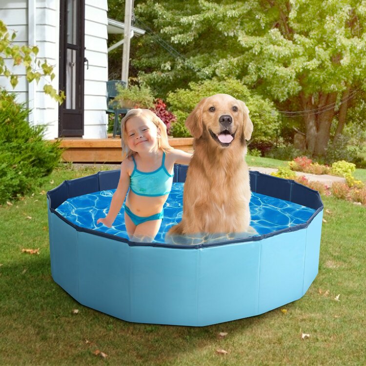 Dit zwembad voor honden is ook makkelijk mee te nemen naar bijvoorbeeld de camping