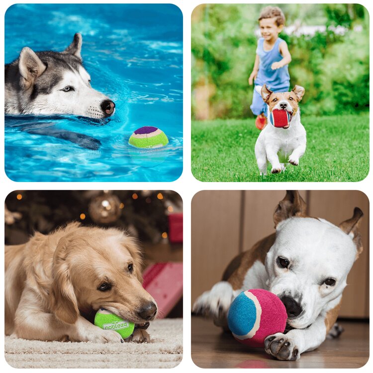 Speelbal hond webwinkel