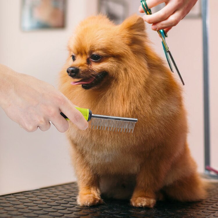 Kam voor honden met pinnen op verschillende lengte