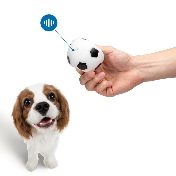 Speelbal voor hond met piep