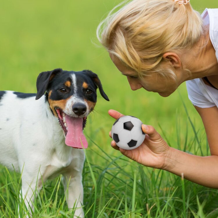 Nobleza Hondenspeeltje - Voetballetje met piep - 7,5 cm