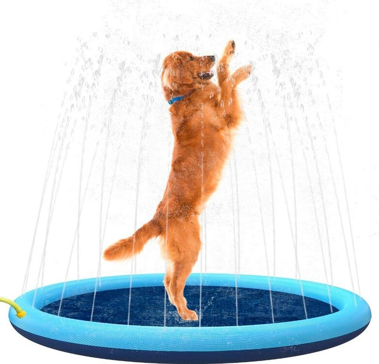 water speelmat voor honden
