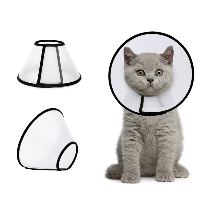 Beschermkraagje voor katten of de kleinste hondjes, maat&nbsp;XXS