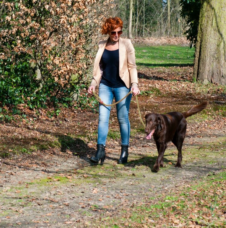 Honden sliplijn rond bruin 15mm