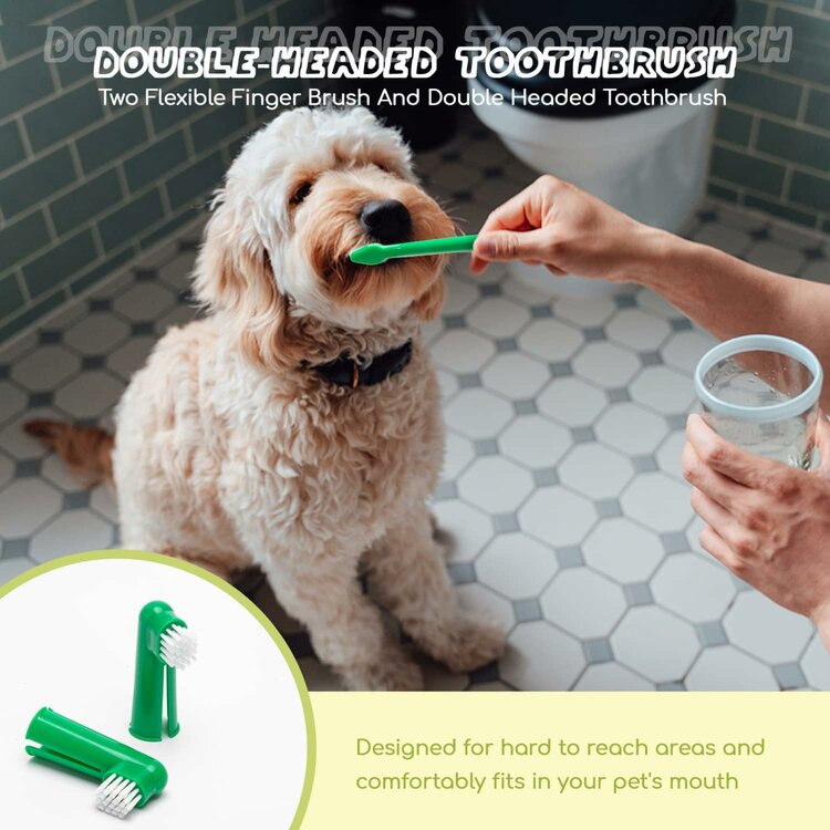 tandenborstel hond kopen