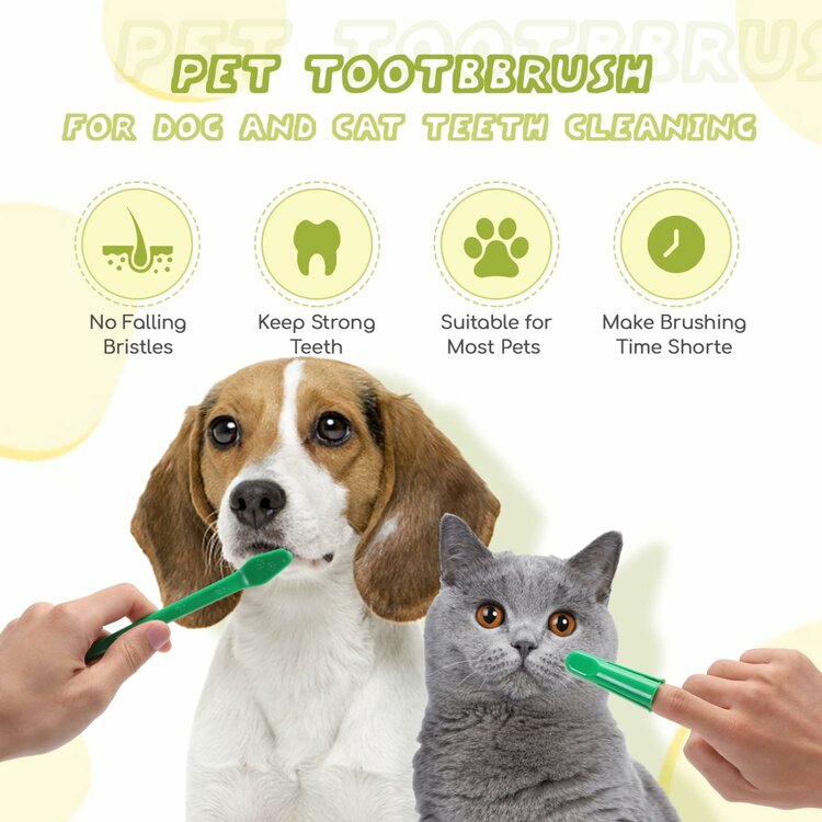 Tandverzorgingsset voor honden en katten