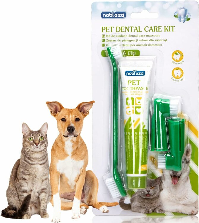Tanden poetsen hond en kat