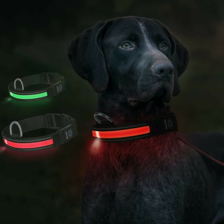 Hondenhalsband met licht XS