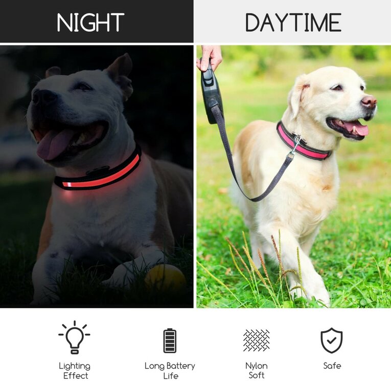 Hondenhalsband met licht XS