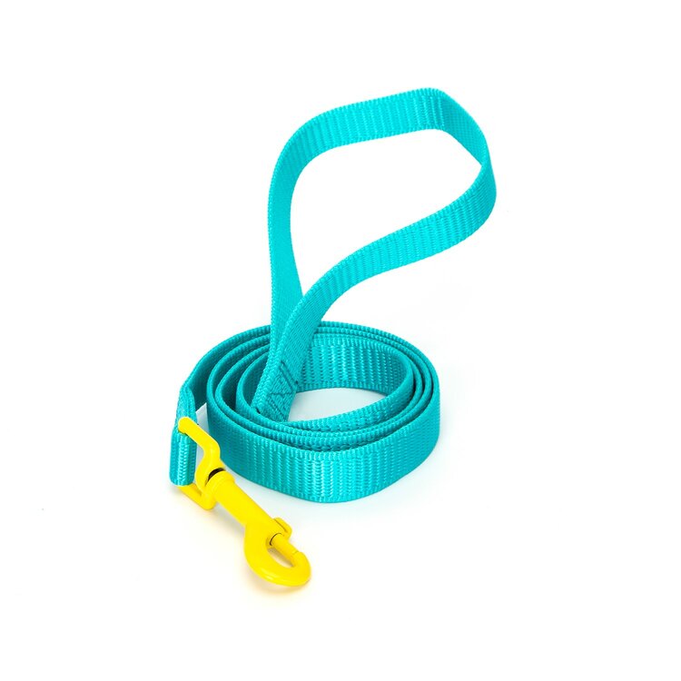 Honden looplijn met leuke kleuren