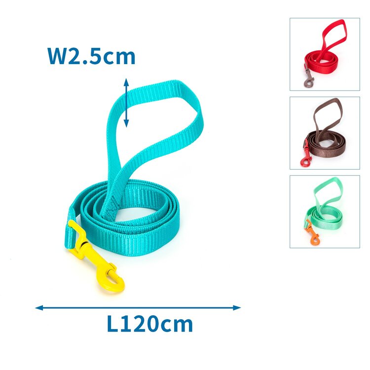 Nobleza Hondenriem - Nylon - Plat - Lengte 120 - Breedte 2,5 cm