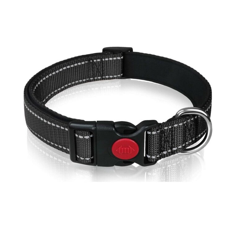 Hondenhalsband met kliksluiting - Zwart - M