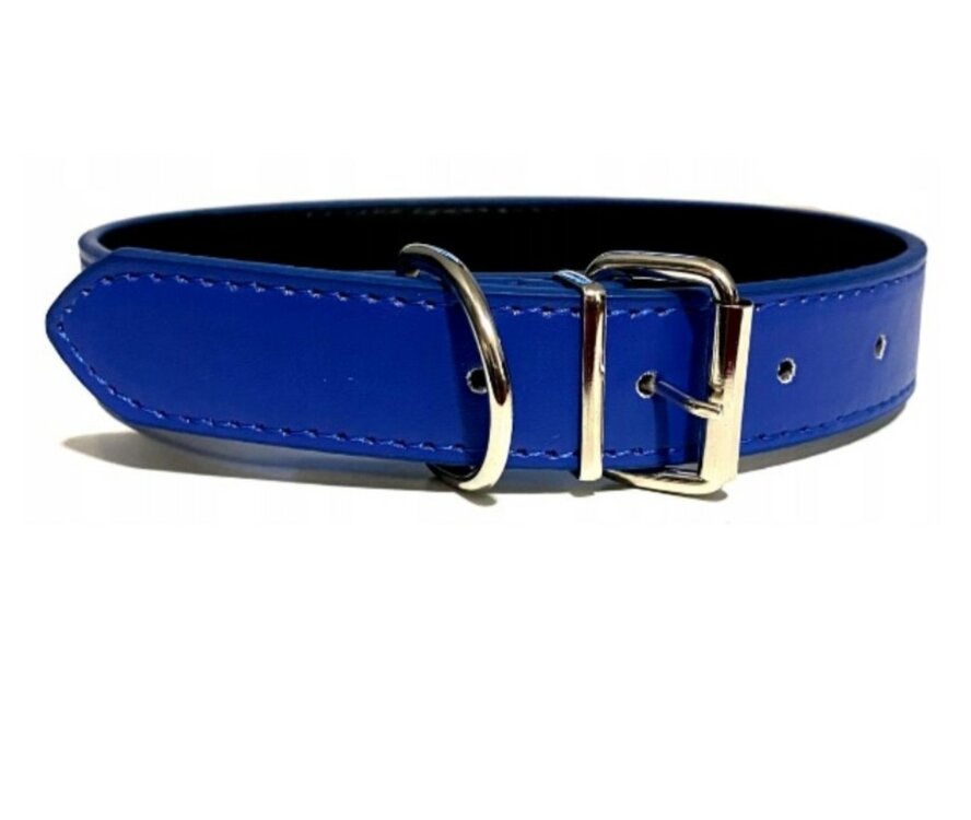 Hondenhalsband blauw