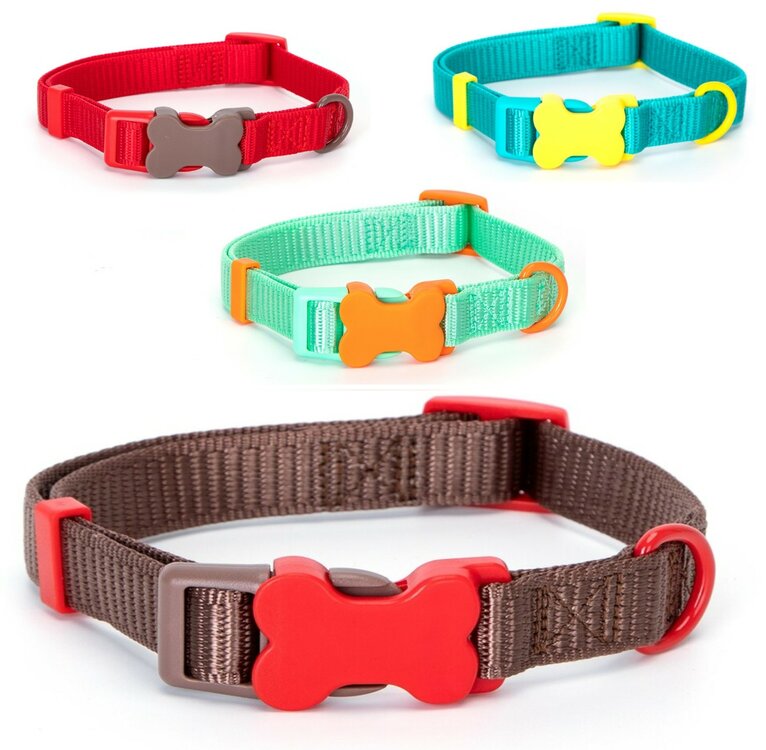 Puppyhalsband met kliksluiting