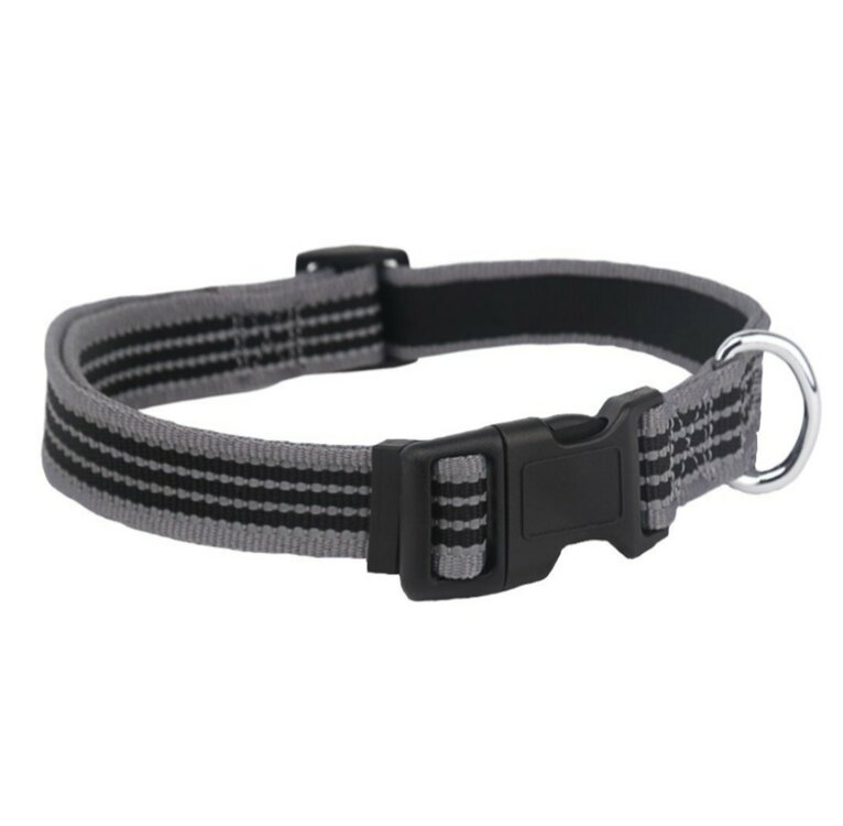 Halsband hond grijs zwart