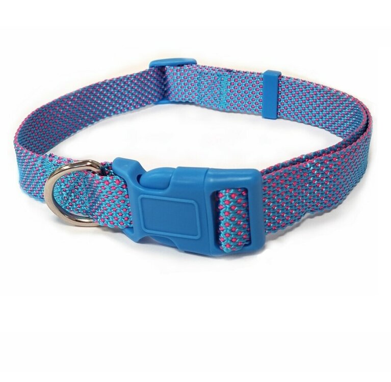 Halsband hond Nylon blauw