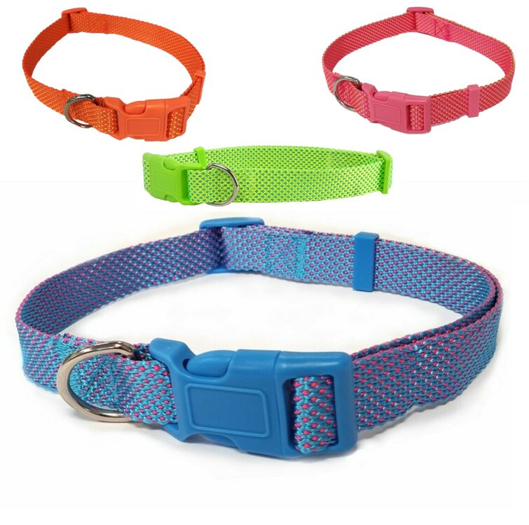 Hondenhalsband met kliksluiting Nylon 60 cm