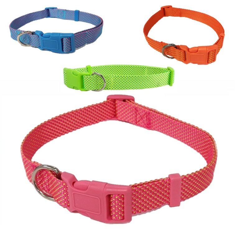 Nobleza Hondenhalsband - Nylon - Stippen - 40 cm